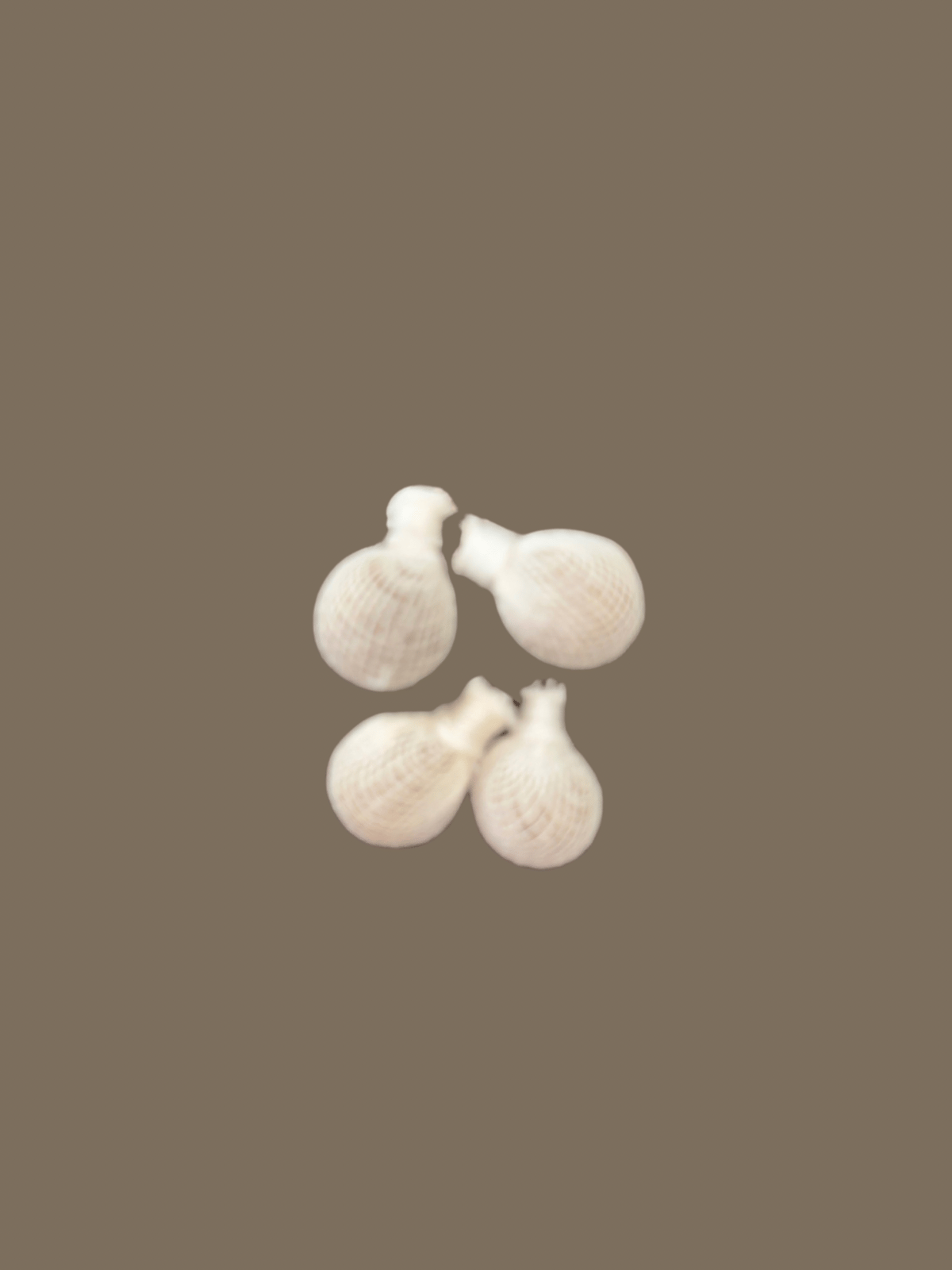 Yoni PHresh Pearls - (Uncategorized)