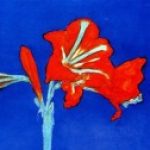 Profile picture of jenniwithani57